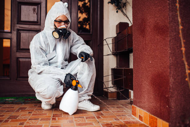 Reliable Cockroach Control contractor in Olathe, KS by Nex Pest Control